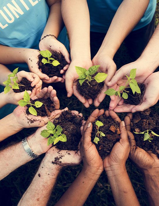 Corporate Social Responsibility